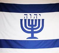 Image result for Us Israel Flag Menorah