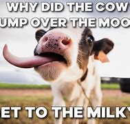 Image result for Cow Age App Meme