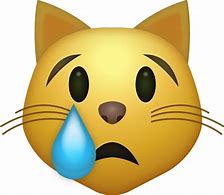 Image result for Crying Cat in Bed Meme