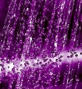 Image result for Samsung Purple Phobe