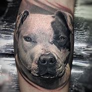 Image result for Pit Bull Tattoos