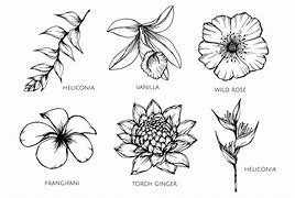 Image result for Flower Pattern Sketch