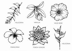 Image result for Sketch of Flowers