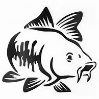 Image result for Fish Decals for Cars