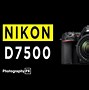 Image result for Camera Nikon D7500