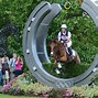 Image result for Show Jumping Horses