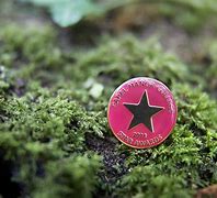 Image result for Lapel Pin Badge