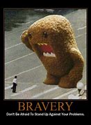 Image result for Funny Brave Animals