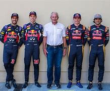 Image result for F1 Red Bull Pilots
