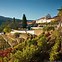 Image result for Quinta do Noval Porto Nacional