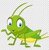 Image result for Cricket Transparent