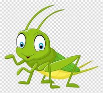 Image result for Cricket Catoon