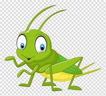 Image result for cricket insect cartoon