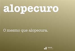 Image result for qlopecuro