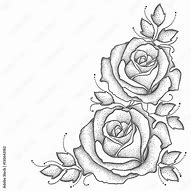 Image result for Dotted Lines of Rose