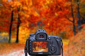 Image result for High Speed Camera Naure Pics