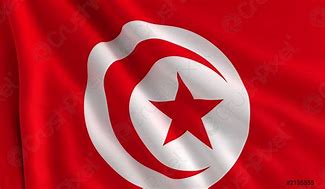 Image result for Official Tunisia Flag
