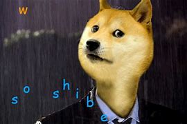 Image result for Doge Meme Real