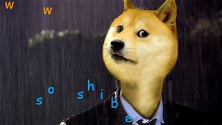 Image result for Doge Meme Costume