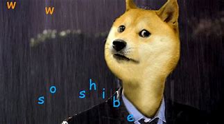 Image result for Sad Doge Meme