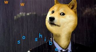 Image result for Crying Doge Meme