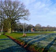Image result for Cricket Pitch 3D