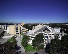 Image result for SF State Buildings