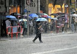 Image result for Monsoon Hong Kong