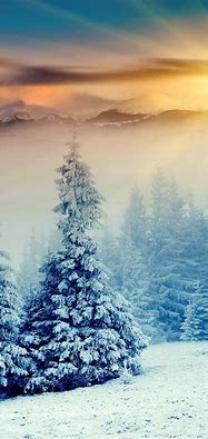 Image result for iPhone 12 Winter Wallpaper
