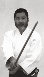 Image result for Real Aikido