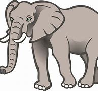 Image result for Cartoon Elephant Vector