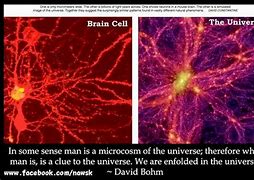 Image result for Brain Universe