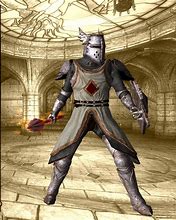 Image result for Oblivion Crusader Armor