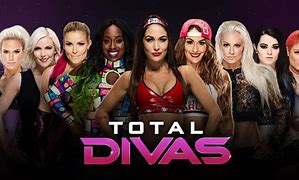 Image result for All the Wrestling Rosters and the Divas