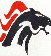 Image result for Amherst Broncos Football