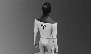 Image result for Tesla Bot Project