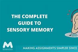 Image result for Sensory Memory