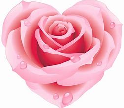 Image result for Coeur Rose