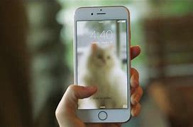 Image result for iPhone 6s Onion Ispot