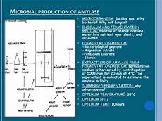 Ppt Production And Application Of Amylase Powerpoint
