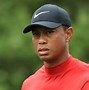 Image result for Tiger Woods in Actiomn