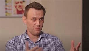 Image result for Alexei Navalny Hero