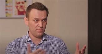 Image result for Mr Navalny