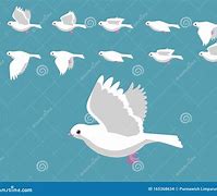 Image result for Animated Birds Flying