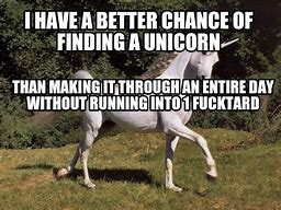 Image result for Looking for a Unicorn Meme