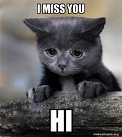 Image result for Missing You Sad Cat Meme