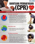 Image result for Panduan Pemulihan Pernafasan CPR Chart