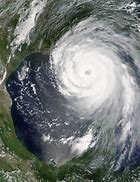 Image result for CNN Hurricane Reporters