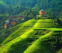 Image result for Most Beautifu Athesticl Landscape of Chinese