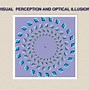Image result for How to Do Invisible Optical Illusions